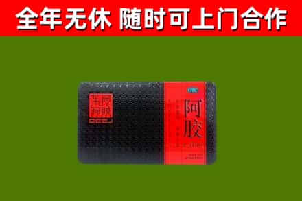 祁连县回收阿胶